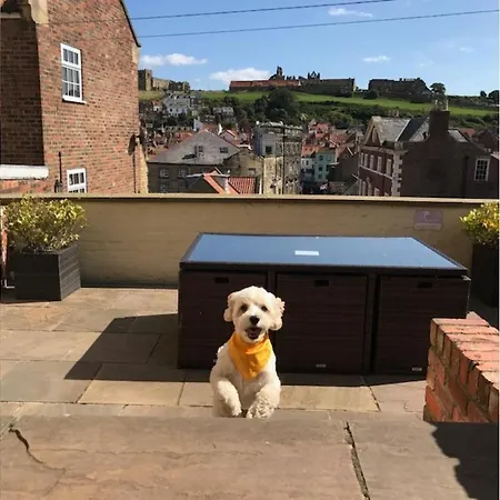 Pecks Nyaraló Whitby